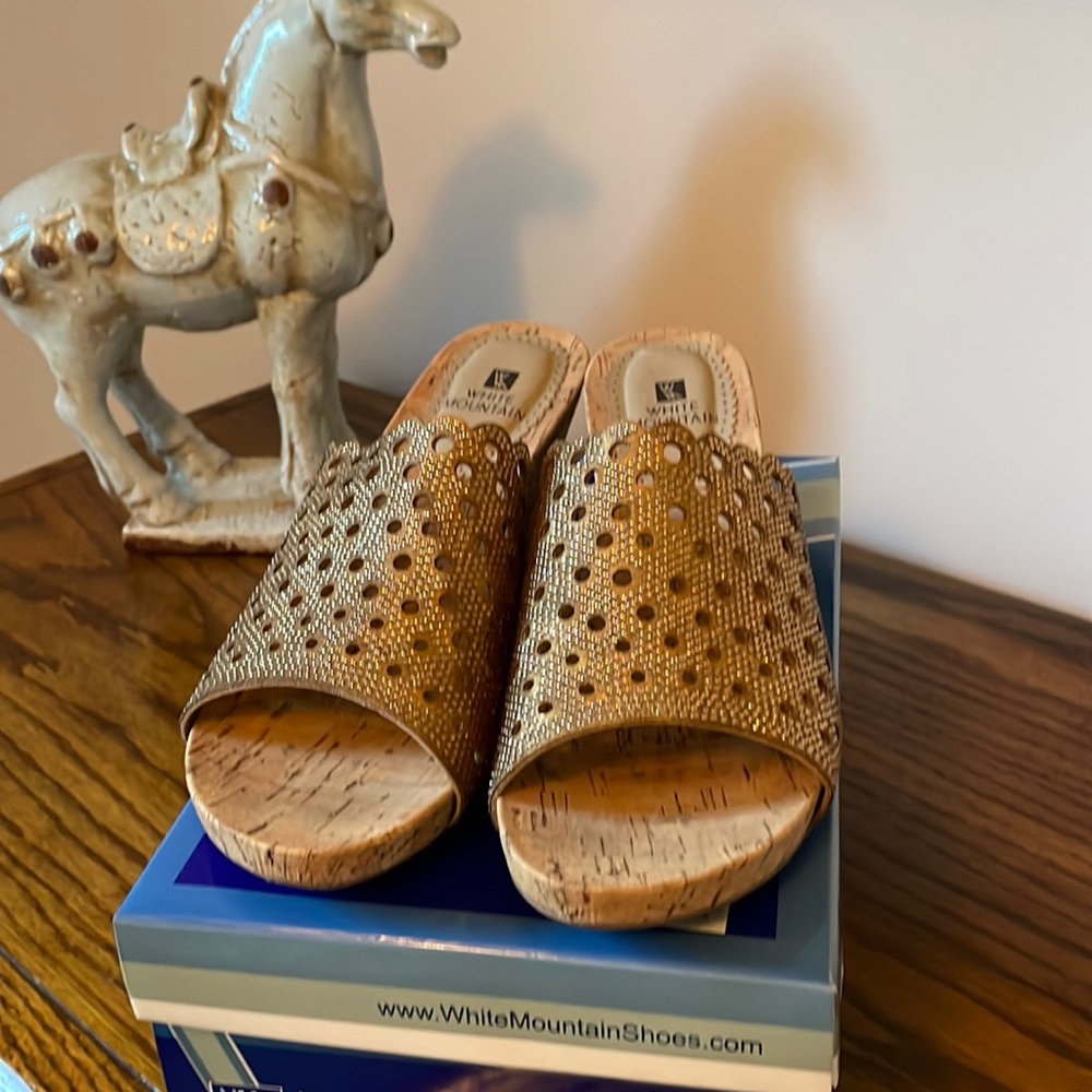 White Mountain cork wedges
